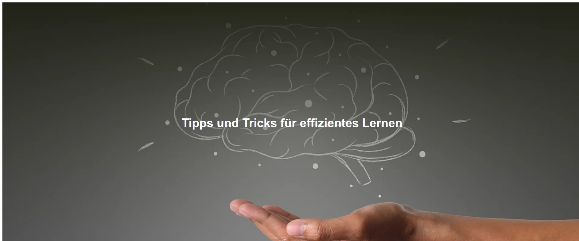 Tipps und Tricks für effizientes Lernen