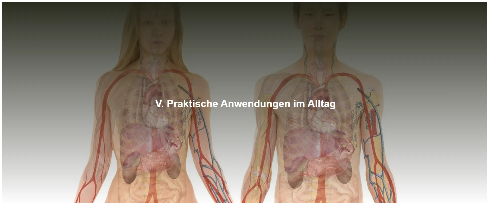 Praktische Anwendungen im Alltag